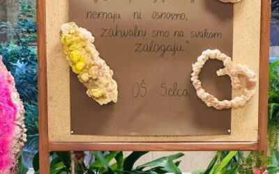 Dani kruha i zahvalnosti za plodove zemlje