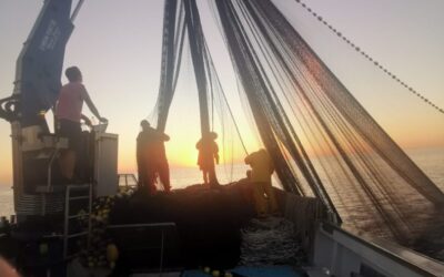 OD AMERIKE DO VOLJENOG STAROG KRAJA