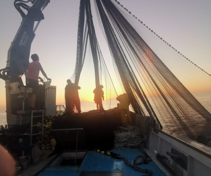 OD AMERIKE DO VOLJENOG STAROG KRAJA